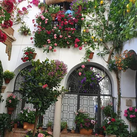 Apto. Planta Baja Y Cochera Barrio San Basilio Apartment Cordoba