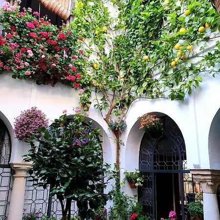 Apto. Planta Baja Y Cochera Barrio San Basilio Apartment