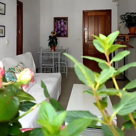 Apartment Apto. Planta Baja Y Cochera Barrio San Basilio
